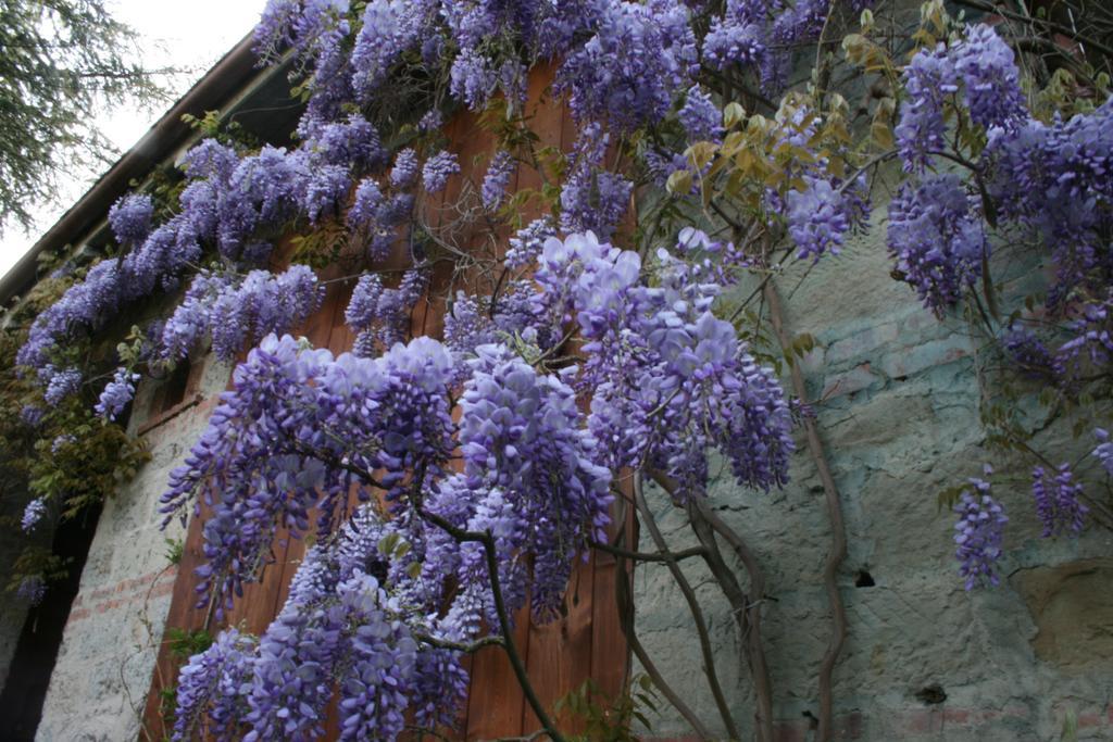 Appartamento Casa Scheda Marradi Esterno foto