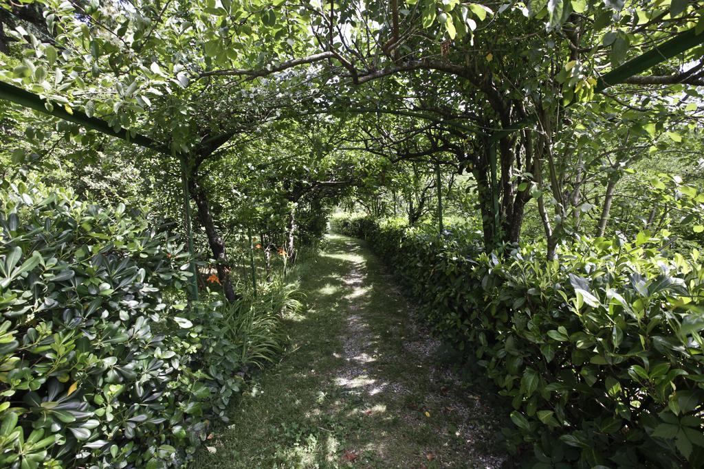 Appartamento Casa Scheda Marradi Esterno foto