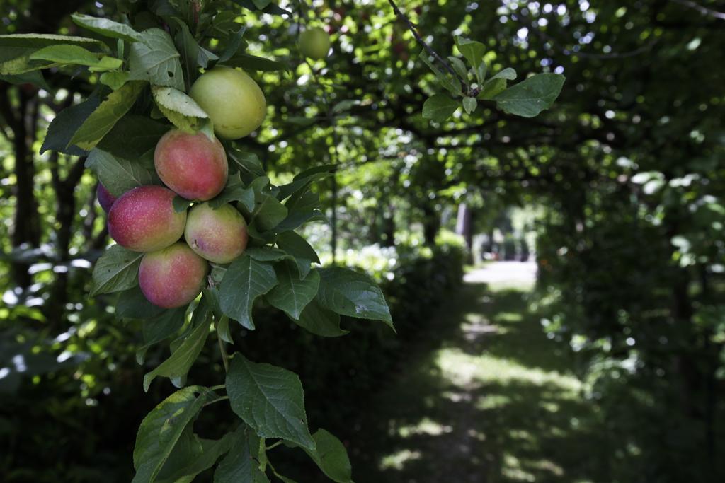 Appartamento Casa Scheda Marradi Esterno foto